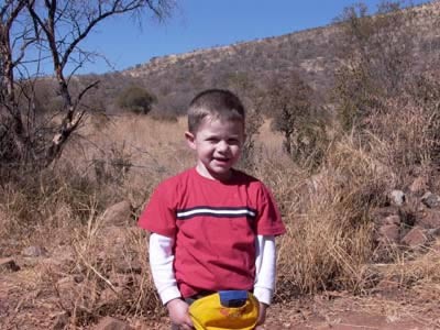 Click for original image 31k 400x300