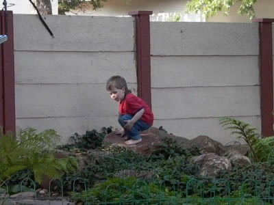 Click for original image 21k 400x300