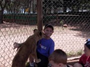 Click for large version