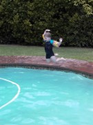 Click for large version