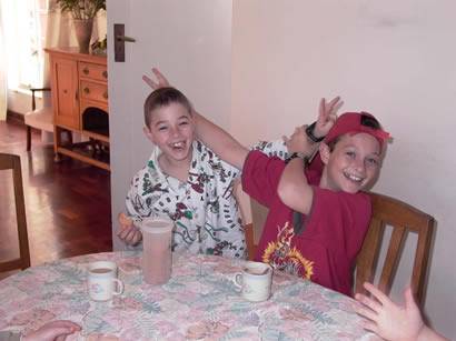 Click for original image 23k 410x307