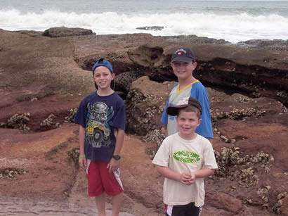 Click for original image 29k 410x307