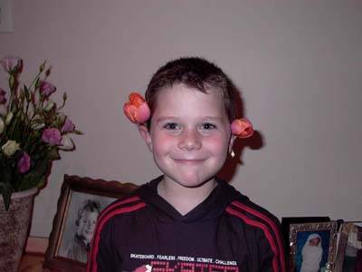 Click for original image 44k 400x300