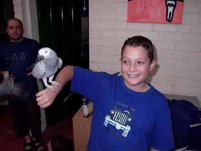 Click for original image 47k 400x300