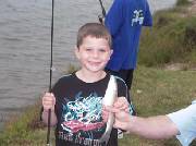 Click for large version