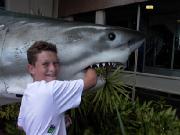 Click for large version