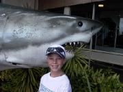 Click for large version