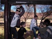 Click for large version